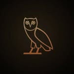 Alvin Morgan🦉 - @__al.vo__ - Instagram