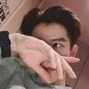 Alvinnsfdrks_ - @alvinnelsons - TikTok