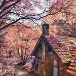آرسین lffr نكو نظر - @alvinobrien8455469 - Instagram