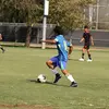 ALVIN PEREZ - @alvinperez226 - TikTok