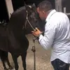alvinperez_laelite - @alvinperez_laelite - TikTok
