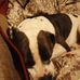 Alvin Webb - Facebook