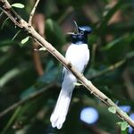Alvin Wee - @awlifewithnature - Instagram