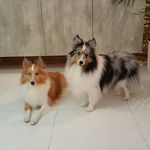 Alvin Wee - @all_things_smokey - Instagram