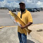 Alvin White - @alvinwhite602 - Instagram