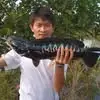 Alvin Yang - @alvin.yang54 - TikTok