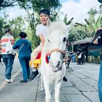 Alvin Yang - Facebook