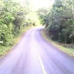 Alvis Martinez - @alvis4264 - Instagram