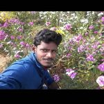 Alwin Amos - @amos.alwin - Instagram