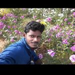 ALWIN AMOS - @alwin_amos - Instagram