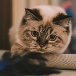 Alwin Chan - @alwinajchan - Instagram