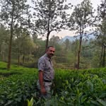 Alwin David - @alwin8066 - Instagram