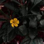 Alwin Mathew - @_.alwin.mathew._ - Instagram
