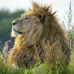 Alwin Peters - @alwin.peters - Instagram