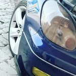 Alwyn Mathew Thomas - @alwyn_mt_786 - Instagram