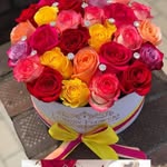 Aly Abdo - @aly.abdo.752861 - Instagram