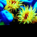 Aly Avila - Facebook
