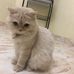 Aly Badran - Facebook