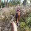 Aly Baker - @aly.baker0 - TikTok