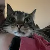 aly - @alyballz - TikTok