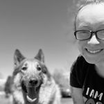 Aly Bean - @alybeandogstylist - Instagram