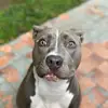 Stella&Co - @alybean_ - TikTok