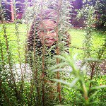 Aly_Mahone∞ - @aly_bennett7 - Instagram