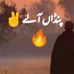 Pindan Aly brand - Facebook