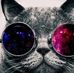 Aly Bray - Facebook
