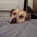 Alysson Bray - Facebook