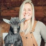 Aly Carpenter - @alysellshomes - Instagram