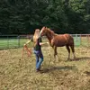 Alyssa - @alyssa.carpenter - TikTok