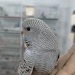 Aly Hamdy - @aly.hamdy.90 - Instagram