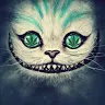 Aly Lewis - @alylewis81 - TikTok