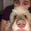 Aly Lewis - @alylewis5 - TikTok