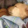alyryan0 - @alyryan0 - TikTok