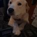 Aly Sanders - Facebook