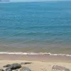 analyce_hamilton - @analyce_hamilton - TikTok