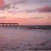 🏝️🤩ALYCE🎶✨ - @alycespencer4 - TikTok