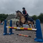 🇬🇧 Alice Stewart 🇬🇧 - @alice_stewart_eventing - Instagram