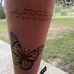 Alyce Stewart - Facebook