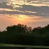Alicia Wise - @alicia.wise1 - TikTok