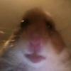 Alyse Edwards - @alyseedwards0 - TikTok
