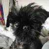 Alyssa Grimm - @user73219545 - TikTok