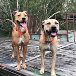 Alyssa Huffman - @_sadie_bella_ - Instagram