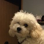 Jmya Alyse Moore - @jmyamoore7319 - Instagram
