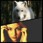 Guinevere Alyse Ray (online) - @gwen_werewolf - Instagram