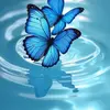 Alyssa Rivera 88470 - @alyssa.rivera.884 - TikTok