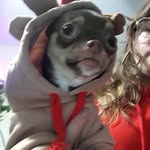 Alyse Rose - @alyse9861 - Instagram