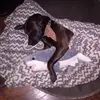 alysen_wright - @alysen_wright4 - TikTok